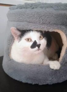 Screenshot_20251123_145716_com_google_android_apps_photos_SharedAlbumFeedActivity2